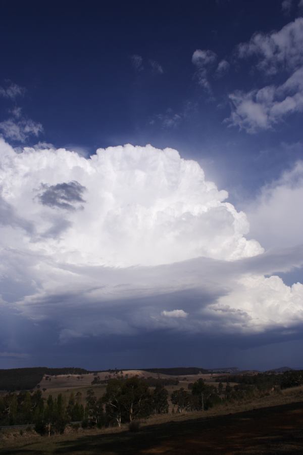 cumulonimbus thunderstorm_base : S of Cherry Tree Hill, NSW   3 February 2007