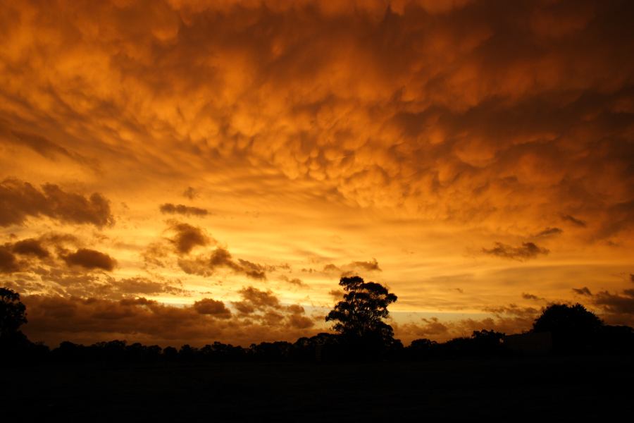 sunset sunset_pictures : Schofields, NSW   7 February 2007