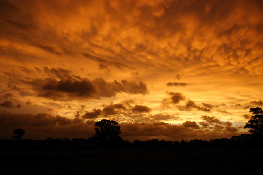 sunset sunset_pictures : Schofields, NSW   7 February 2007