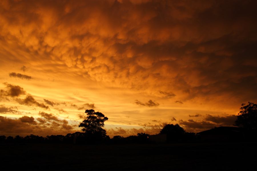 sunset sunset_pictures : Schofields, NSW   7 February 2007