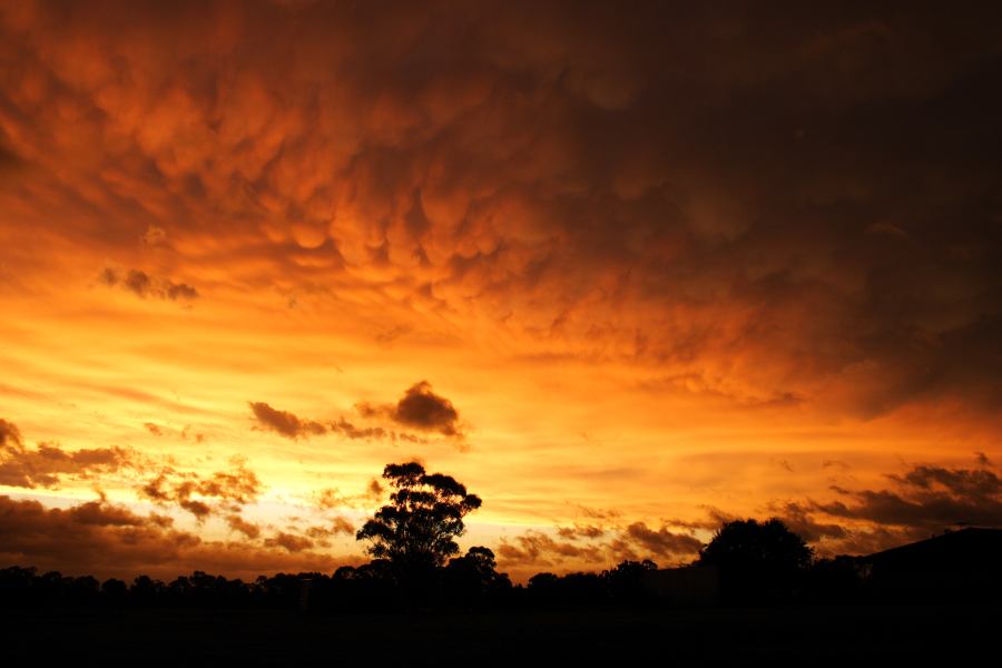 sunset sunset_pictures : Schofields, NSW   7 February 2007