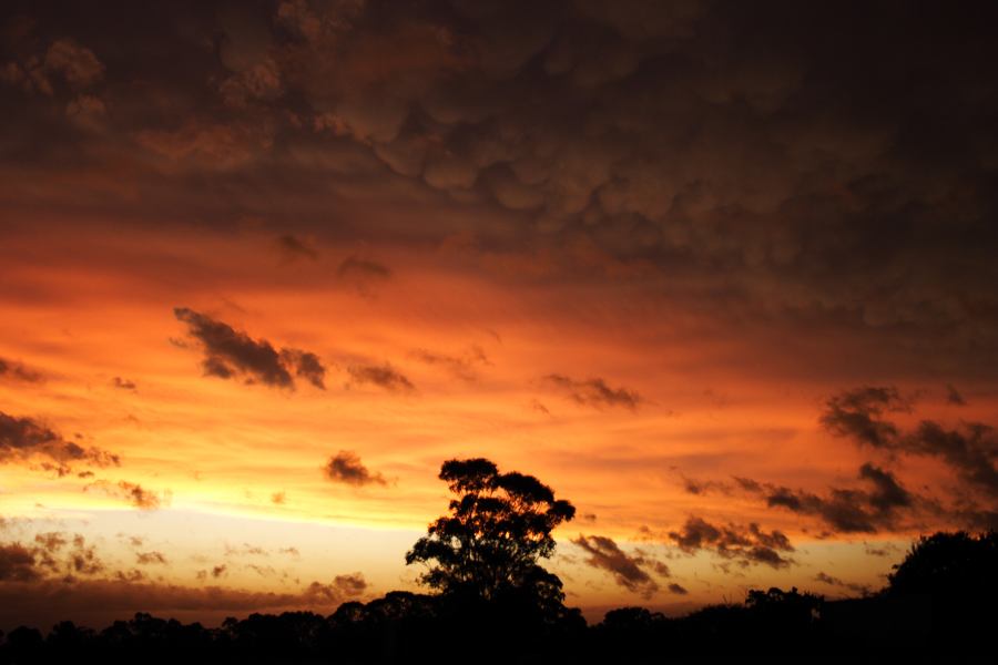 sunset sunset_pictures : Schofields, NSW   7 February 2007