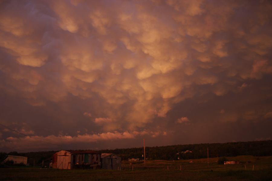 mammatus mammatus_cloud : Schofields, NSW   7 February 2007