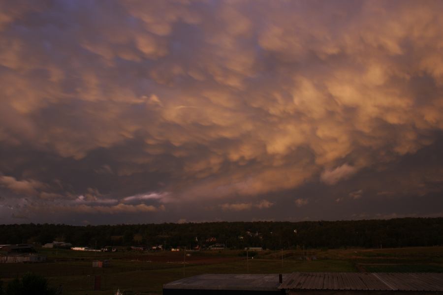 mammatus mammatus_cloud : Schofields, NSW   7 February 2007