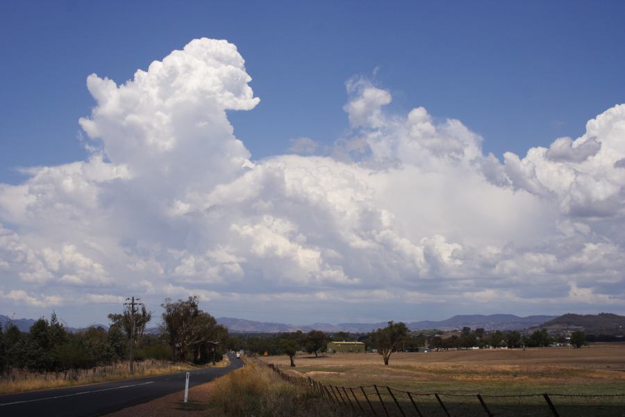 thunderstorm cumulonimbus_calvus : N of Mudgee, NSW   10 February 2007