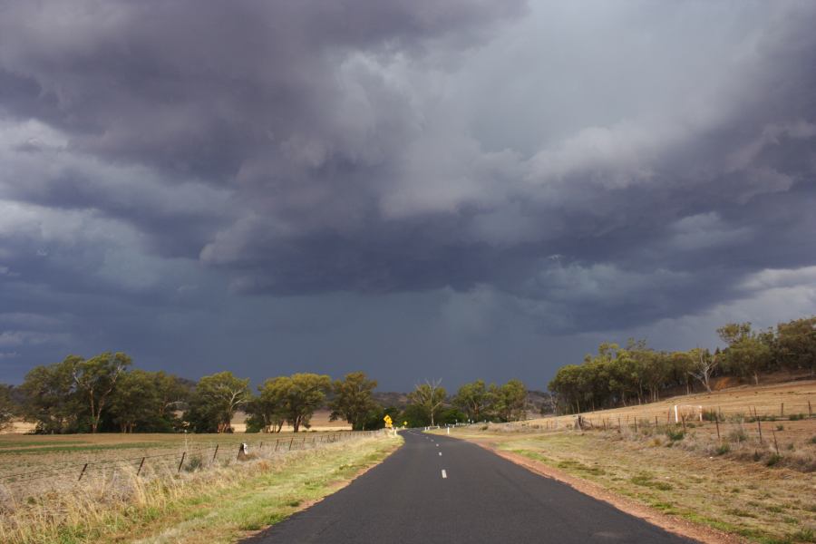 cumulonimbus thunderstorm_base : SE of Wellington, NSW   10 February 2007