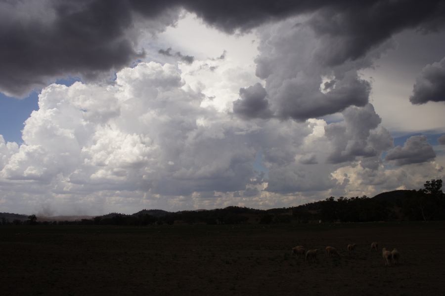 microburst micro_burst : SE of Wellington, NSW   10 February 2007