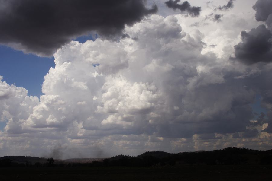 thunderstorm cumulonimbus_calvus : SE of Wellington, NSW   10 February 2007