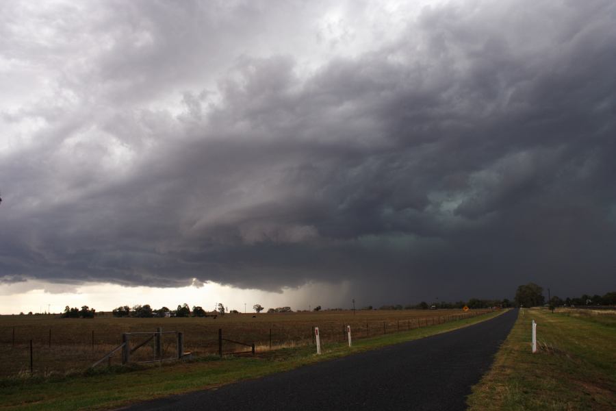 cumulonimbus thunderstorm_base : Gulgong, NSW   10 February 2007