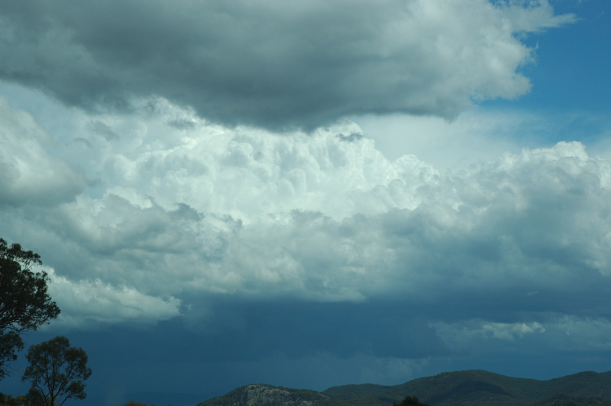 cumulonimbus thunderstorm_base : S of Tenterfield, NSW   10 February 2007