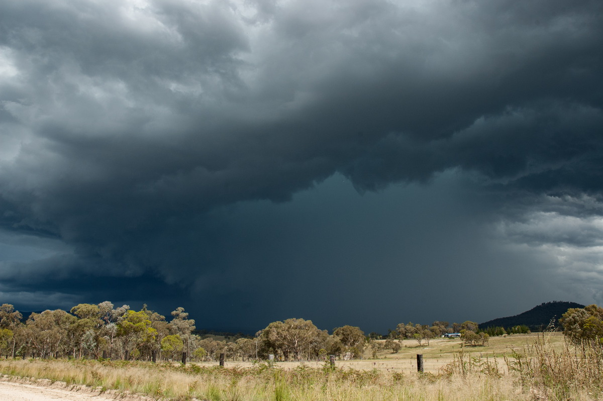 cumulonimbus thunderstorm_base : S of Tenterfield, NSW   10 February 2007