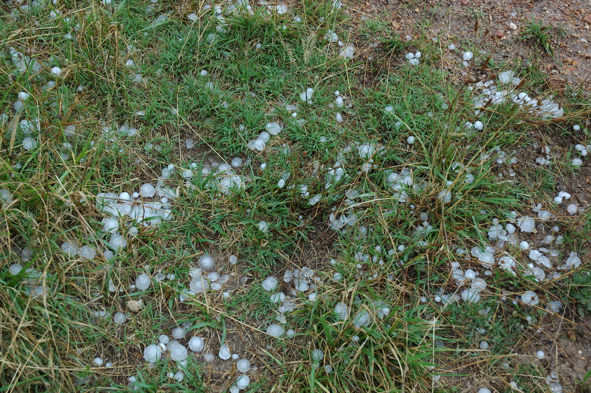 hailstones hail_stones : S of Tenterfield, NSW   10 February 2007
