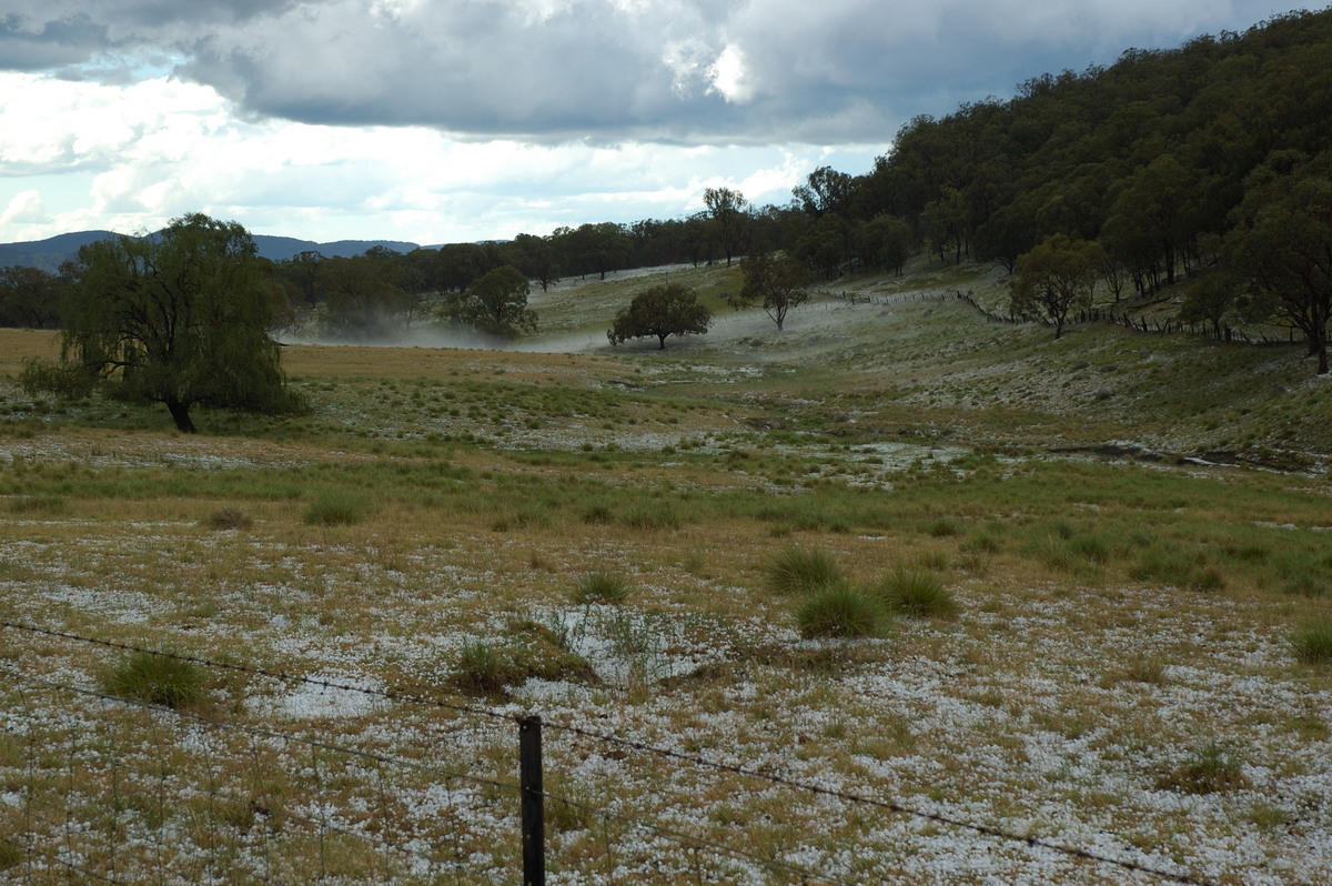 hailstones hail_stones : S of Tenterfield, NSW   10 February 2007