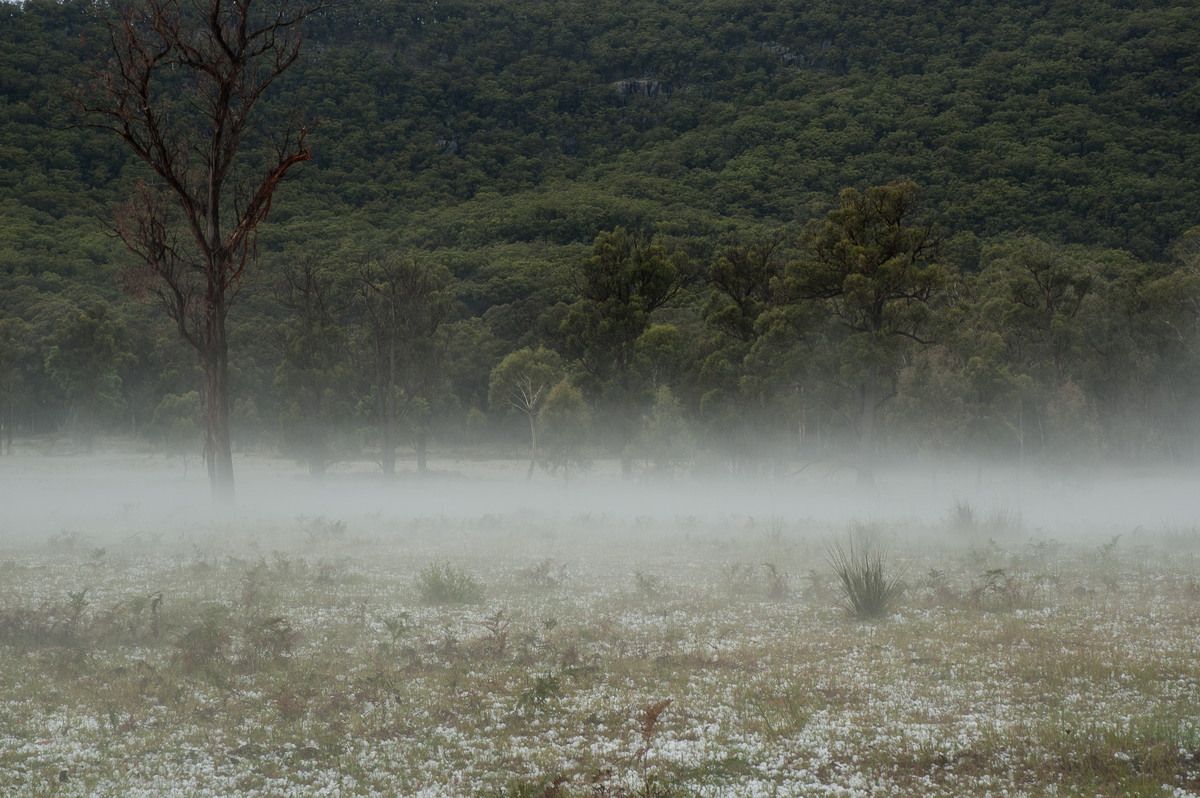 favourites michael_bath : S of Tenterfield, NSW   10 February 2007