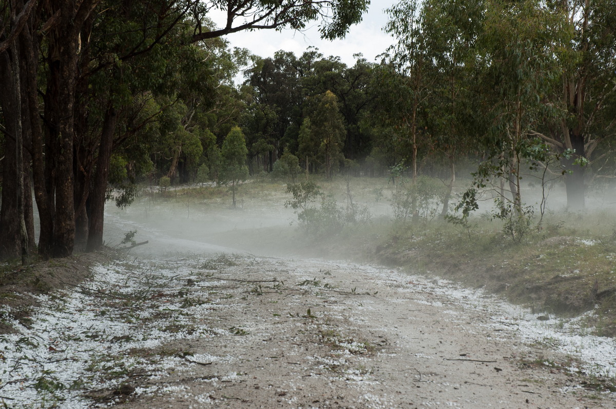 hailstones hail_stones : S of Tenterfield, NSW   10 February 2007