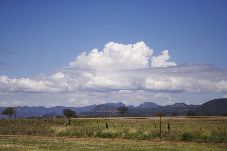 cumulus mediocris : Coonabarabran, NSW   11 February 2007