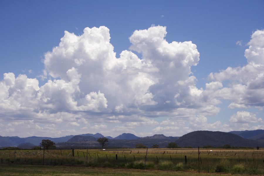 cumulus congestus : Coonabarabran, NSW   11 February 2007