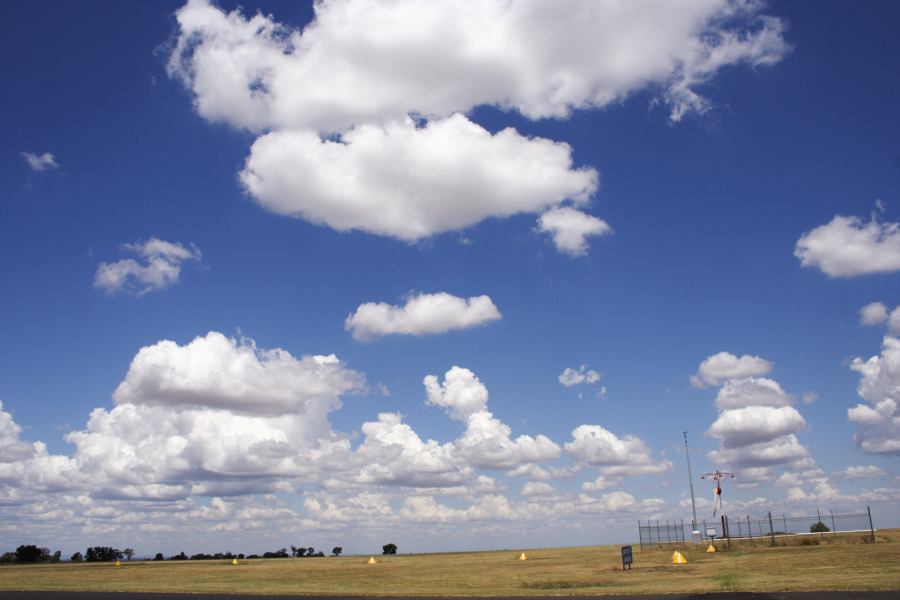 cumulus humilis : Coonabarabran, NSW   11 February 2007