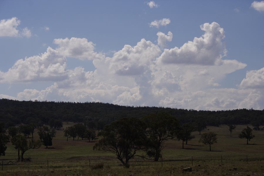 thunderstorm cumulonimbus_incus : N of Dunedoo, NSW   11 February 2007