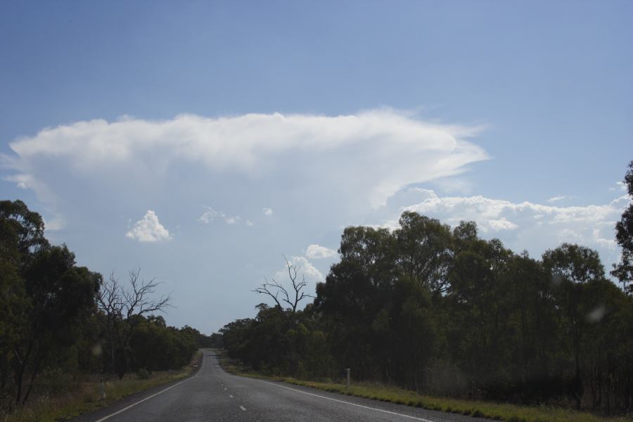 anvil thunderstorm_anvils : W of Dunedoo, NSW   11 February 2007