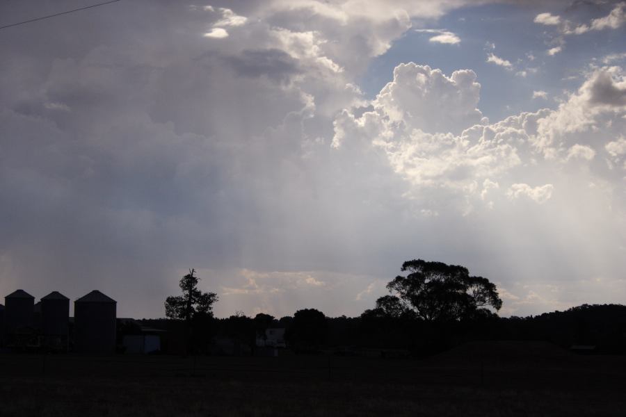 halosundog halo_sundog_crepuscular_rays : W of Elong Elong, NSW   11 February 2007