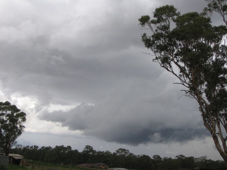 stratocumulus stratocumulus_cloud : Schofields, NSW   11 February 2007