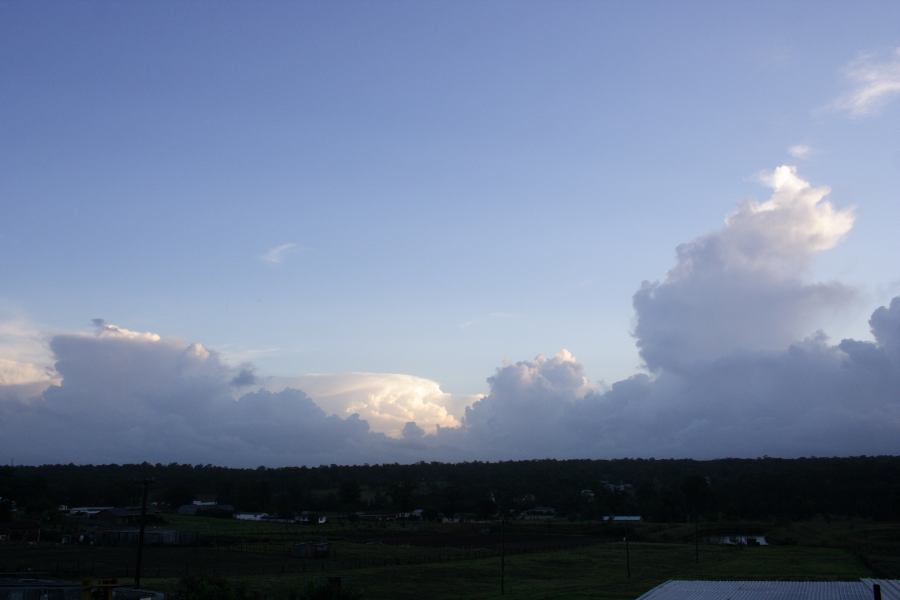 cumulus congestus : Schofields, NSW   12 February 2007