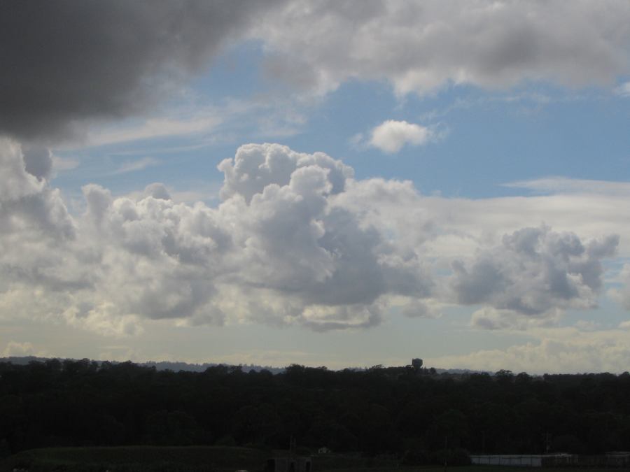 cumulus mediocris : Schofields, NSW   13 February 2007