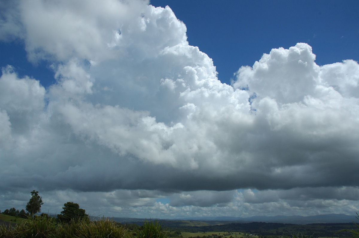 cumulus congestus : McLeans Ridges, NSW   14 February 2007