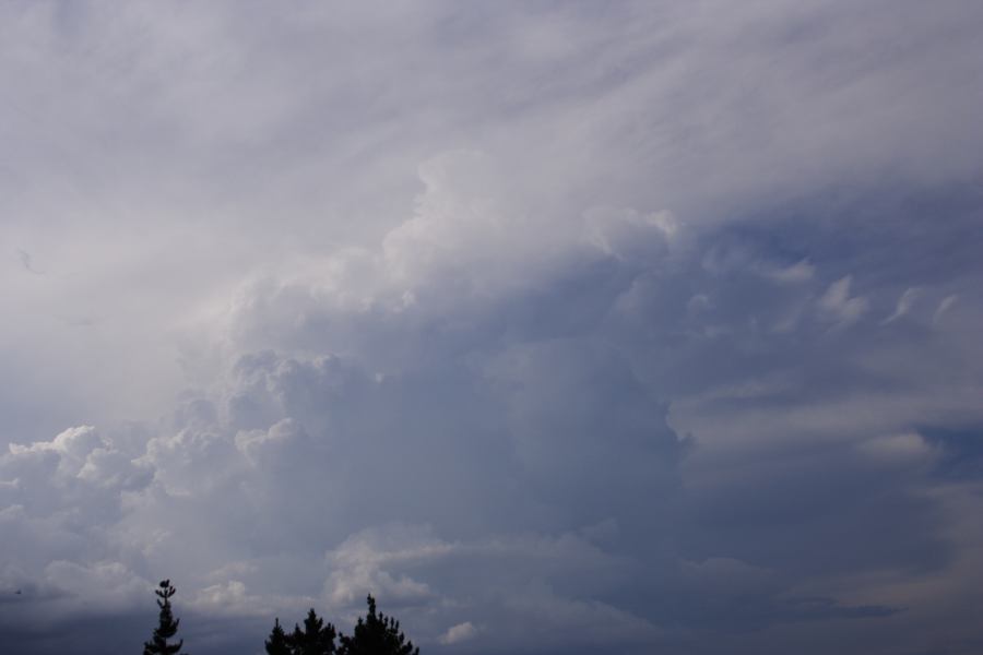 thunderstorm cumulonimbus_incus : Vineyard, NSW   19 February 2007