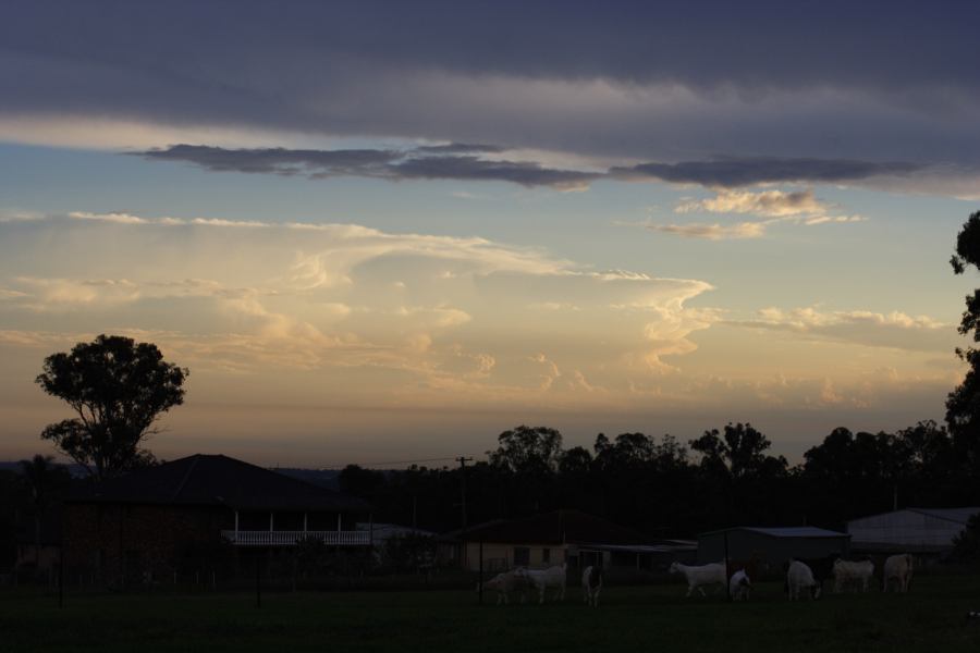 altostratus altostratus_cloud : Schofields, NSW   22 February 2007