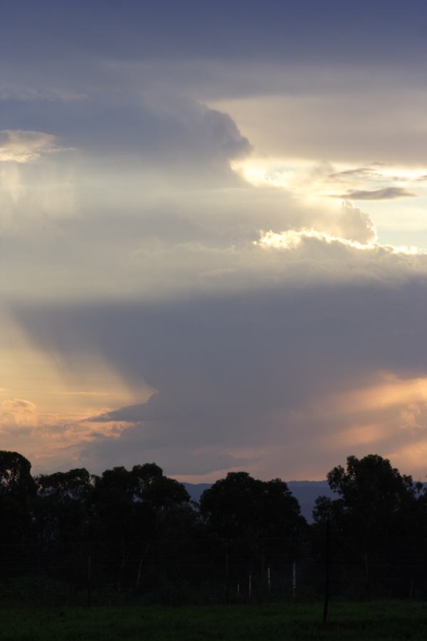 thunderstorm cumulonimbus_incus : Schofields, NSW   22 February 2007