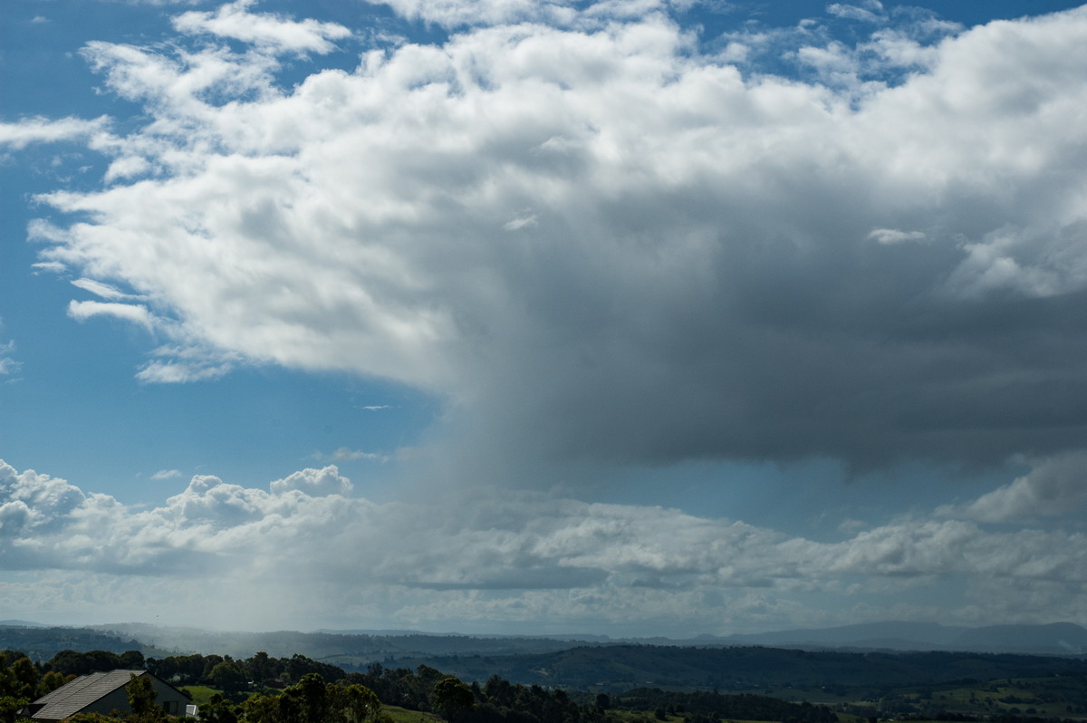 cumulus mediocris : McLeans Ridges, NSW   23 February 2007