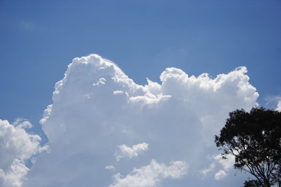 pileus pileus_cap_cloud : Kurrajong region, NSW   24 February 2007