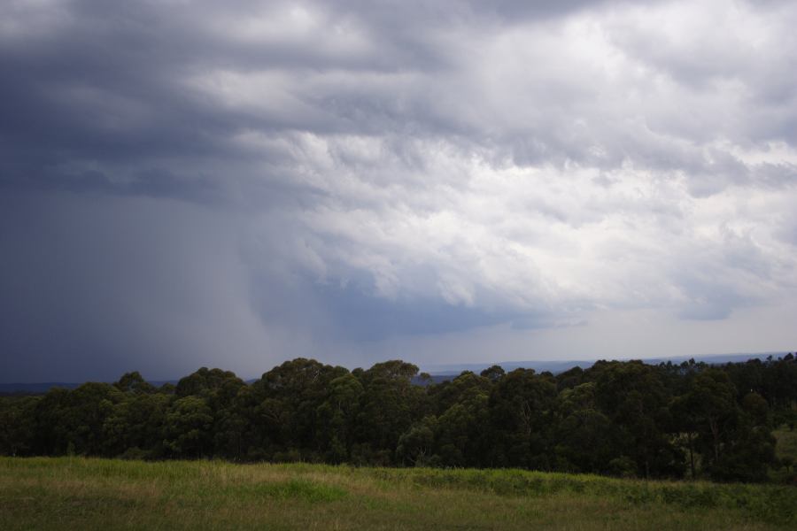 raincascade precipitation_cascade : Bilpin, NSW   24 February 2007