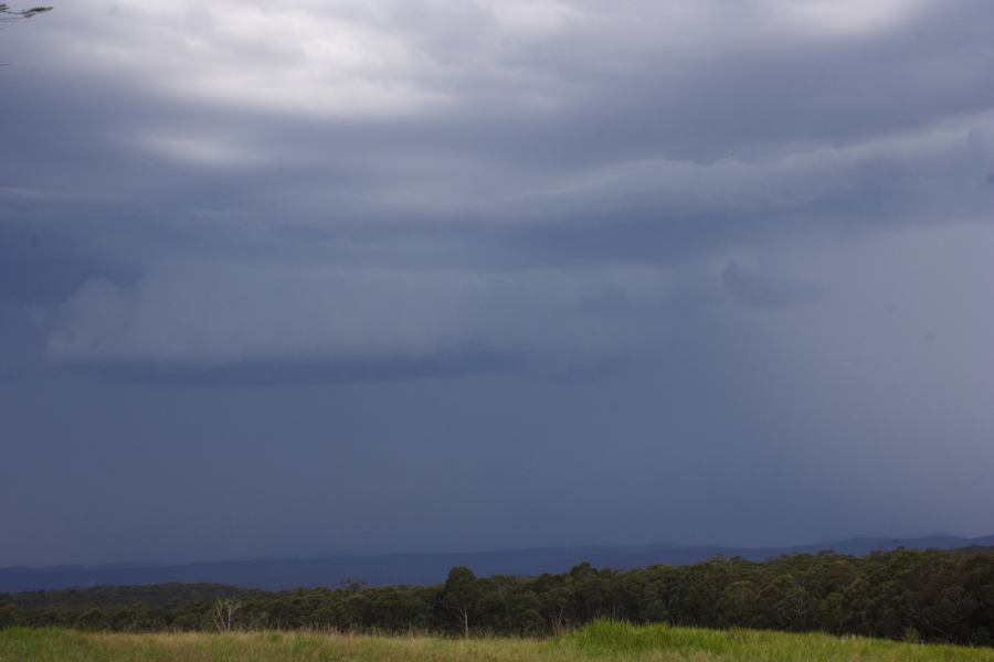 cumulonimbus thunderstorm_base : Bilpin, NSW   24 February 2007