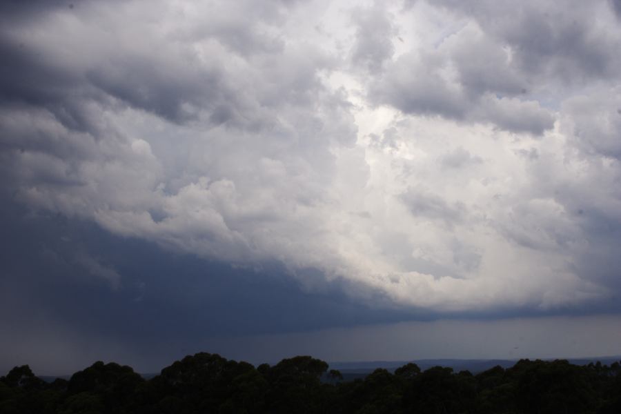 cumulonimbus thunderstorm_base : Bilpin, NSW   24 February 2007