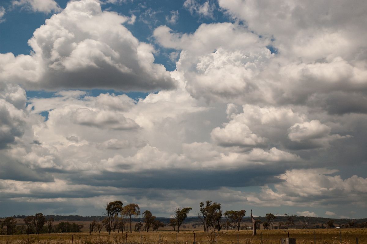 cumulus congestus : near Deepwater, NSW   25 February 2007