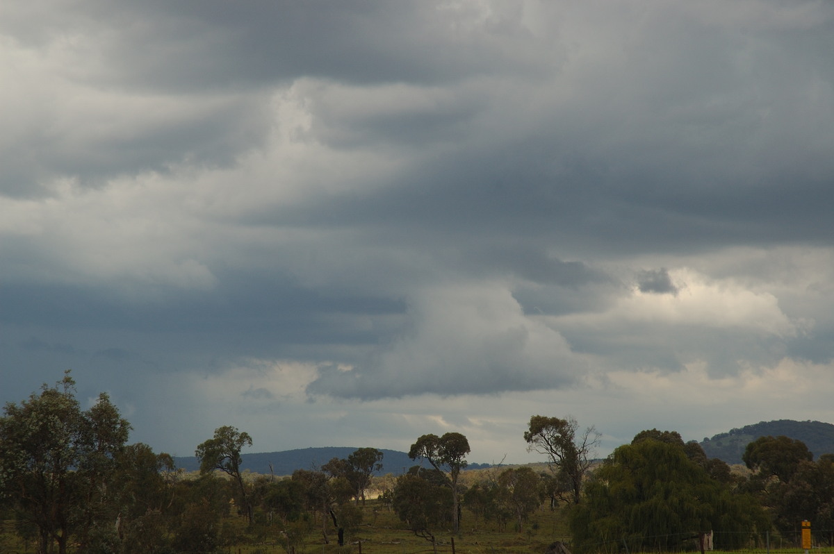 cumulonimbus thunderstorm_base : near Deepwater, NSW   25 February 2007