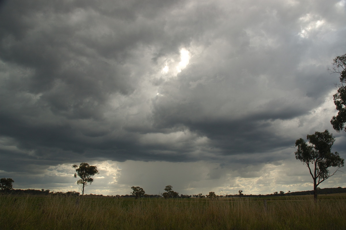 cumulonimbus thunderstorm_base : near Deepwater, NSW   25 February 2007