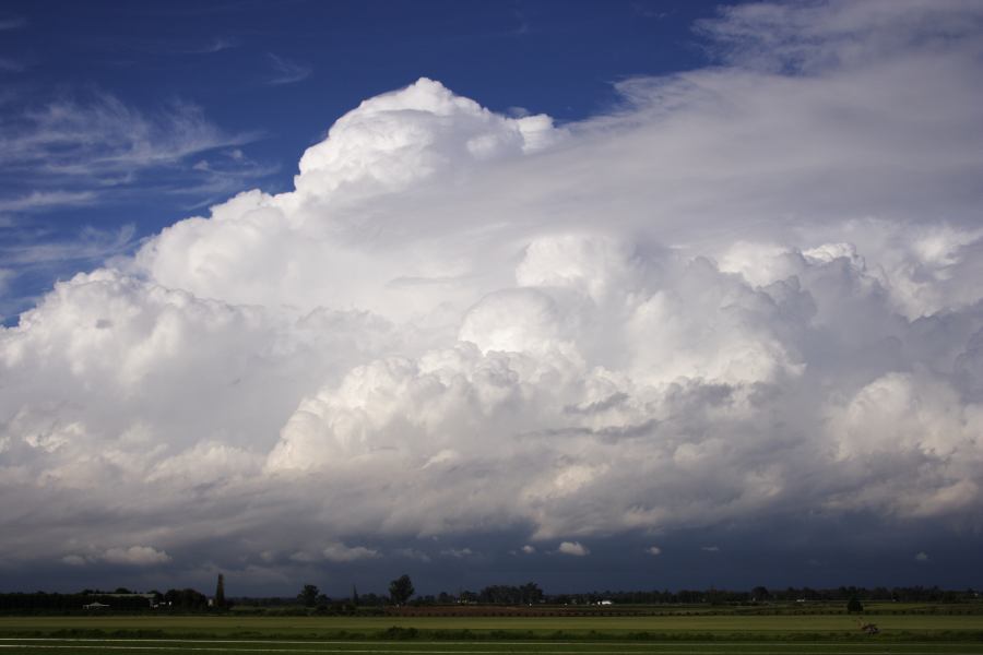 thunderstorm cumulonimbus_calvus : Windsor, NSW   28 February 2007