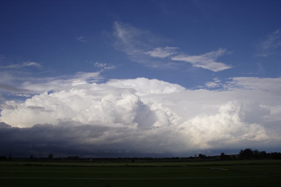 thunderstorm cumulonimbus_calvus : Windsor, NSW   28 February 2007