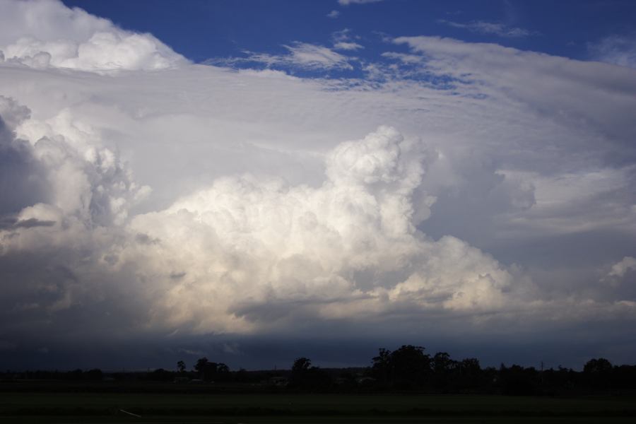 thunderstorm cumulonimbus_calvus : Windsor, NSW   28 February 2007