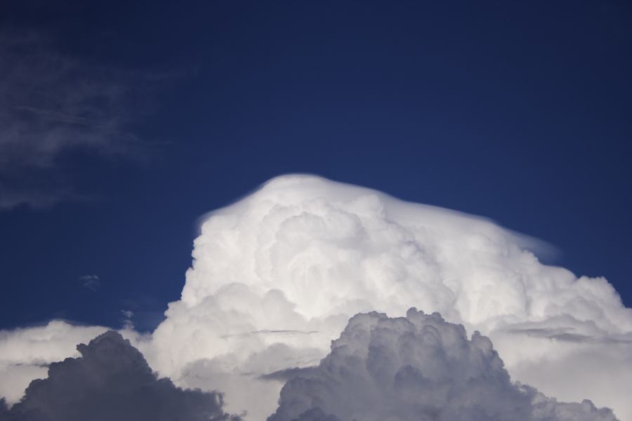 pileus pileus_cap_cloud : Windsor, NSW   28 February 2007