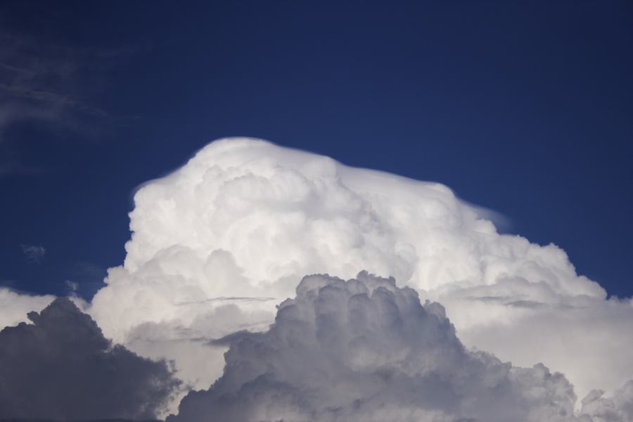 updraft thunderstorm_updrafts : Windsor, NSW   28 February 2007