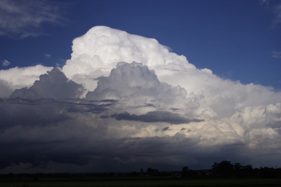 updraft thunderstorm_updrafts : Windsor, NSW   28 February 2007