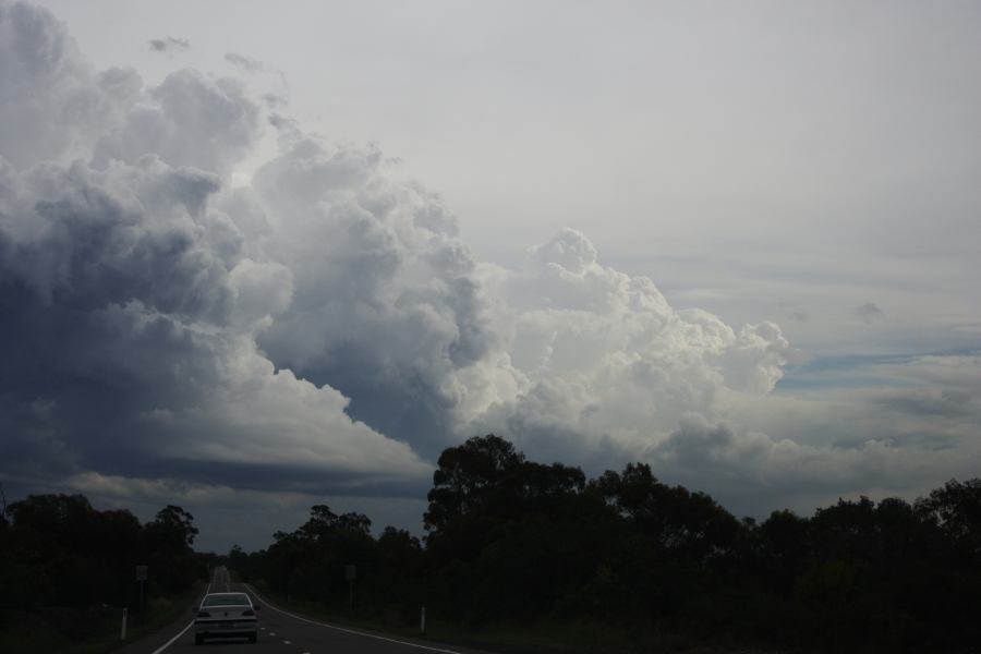 thunderstorm cumulonimbus_calvus : near Engadine, NSW   1 March 2007