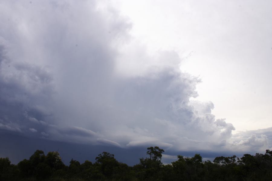 cumulonimbus thunderstorm_base : near Heathcote, NSW   1 March 2007