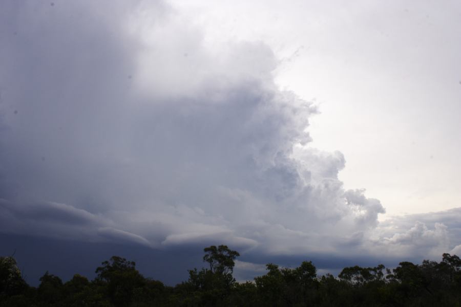 cumulonimbus thunderstorm_base : near Heathcote, NSW   1 March 2007