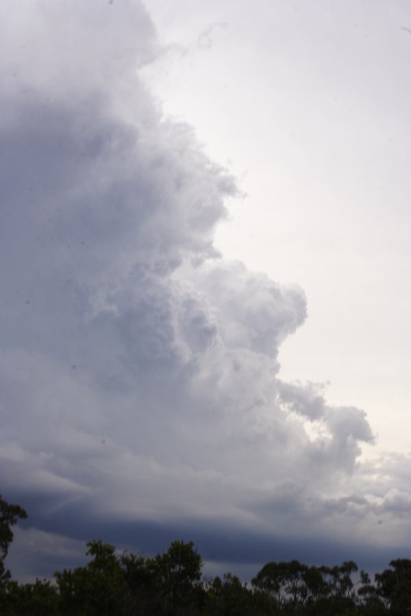 updraft thunderstorm_updrafts : near Heathcote, NSW   1 March 2007